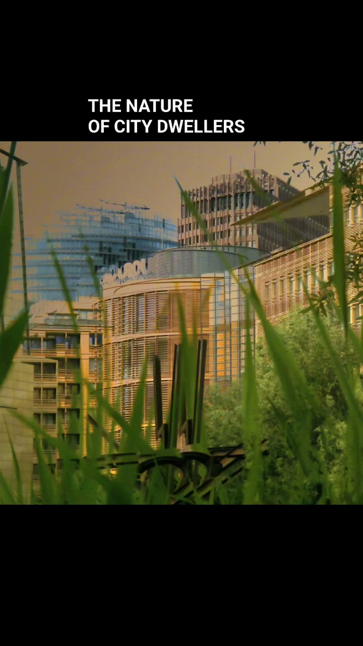 The Nature of City Dwellers 2025